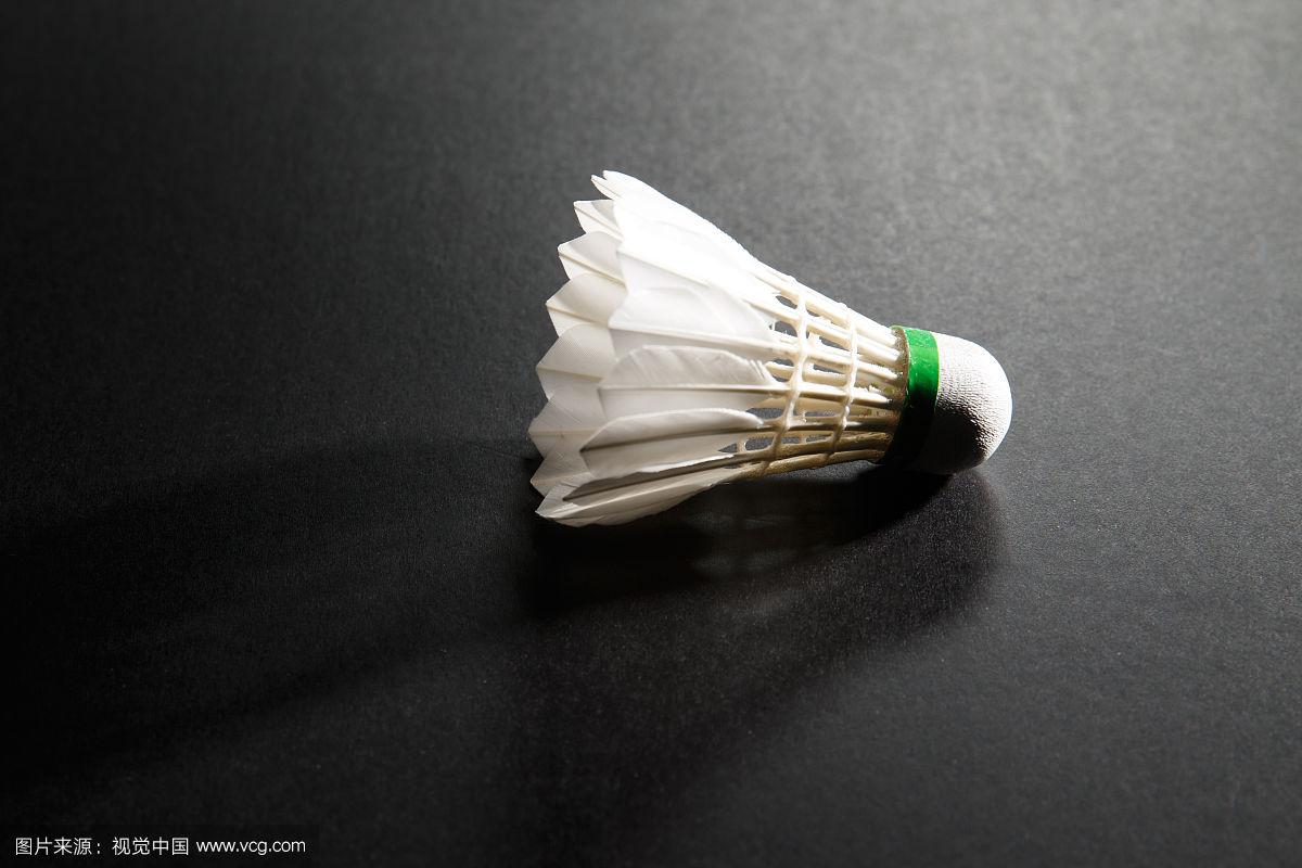 仅存在于画 仅存在于画