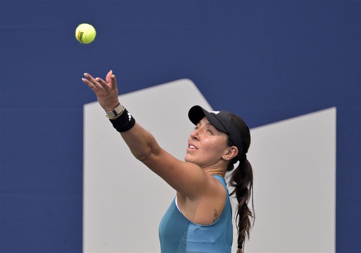 亮点是他们 亮点是他们